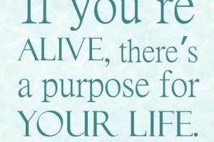 ENCOURAGEMENT FOR TODAY-Your Purpose is not detered by your Past or your Current Situation