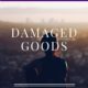 ENCOURAGEMENT FOR TODAY- Would you like a FREE Ebook of Damaged Goods?